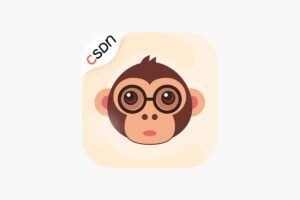 CSDN Focus：CSDN页面增强工具 自由复制+页面净化+跨平台支持一键去广告-R