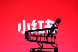 小红书电商从0到1实操运营课,从零开始,简单易学-R