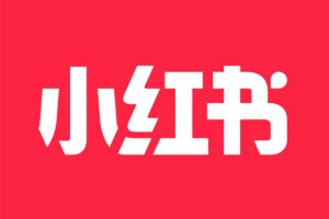 小红书电商运营从入门到精通-R