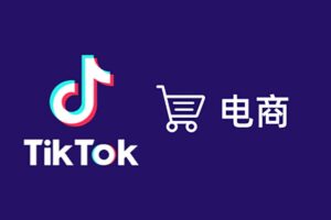 TikTok全套电商实战课:ADS投流+达人带货+GMV MAX增长打法-R