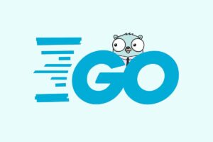 赵珊珊Go语言汇编视频课程-R